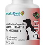 workssowell 1tdc dual