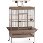 prevue pet products wrought iron