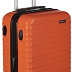 amazon basics 20-inch hardside spinner