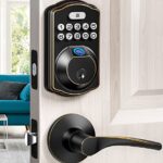 veise fingerprint door