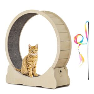 Best Cat Exercise Wheel for Indoor Cats 2026