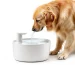 best dog water fountain for large dogs